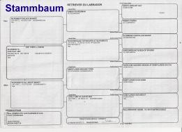 Ahnentafel Amy Vorschaubild