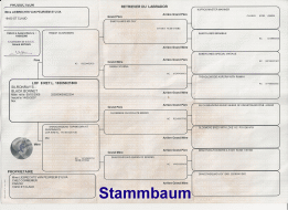 Ahnentafel Finnegan Vorschaubild
