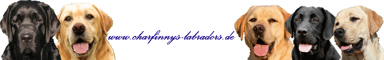 Banner Charfinnys-Labradors
