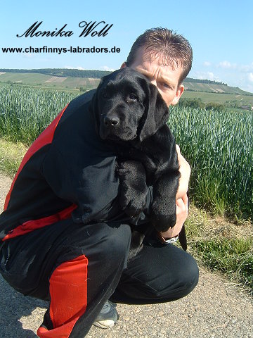 Finnegan 003