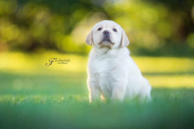 Fotogalerie Shooting B-Wurf Lissy 001