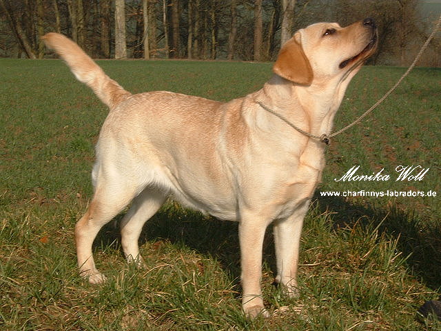 Mandy 004
