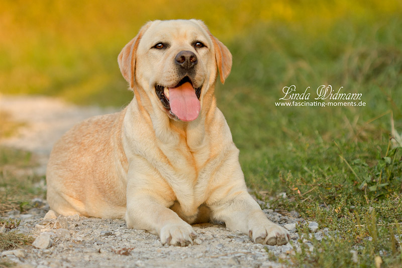 Mandy 008