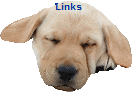 Links