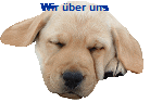 Wir ber uns